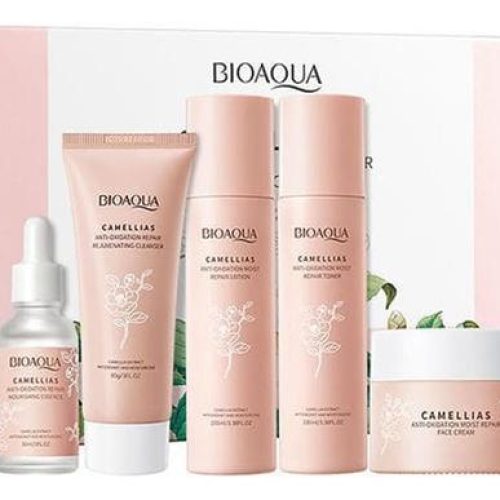 kit de camelias